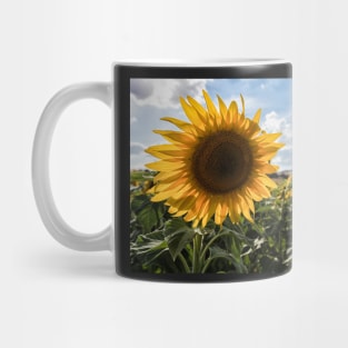 Late Summer Sunflowers Mug